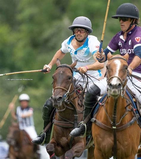 Pololine .